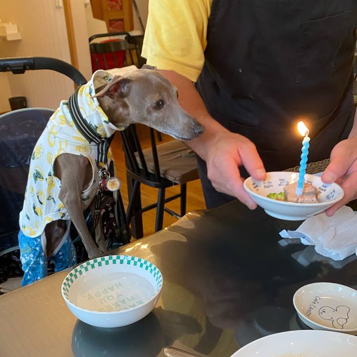 Dc589fbc 0ffe 4549 b25d 19d29d480a45 1758337129238