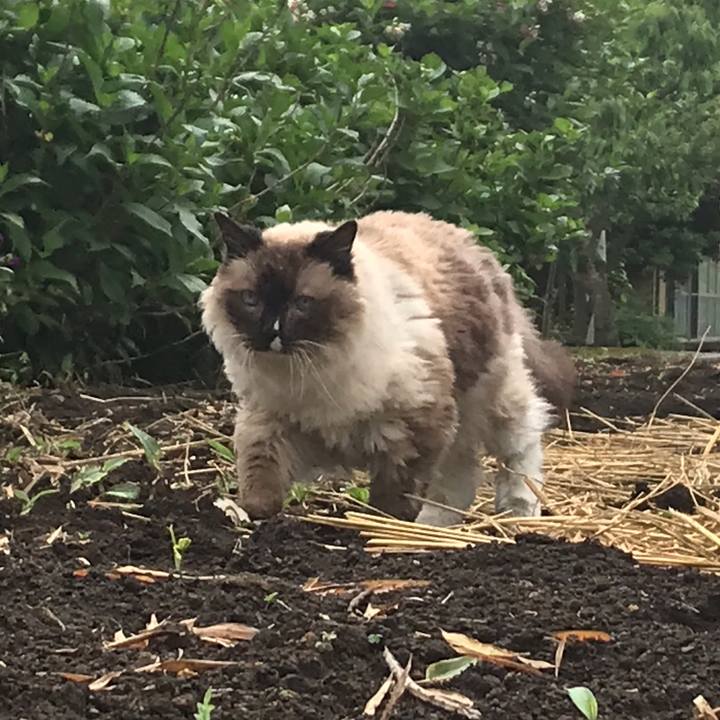 Dc58ba91 e2d0 45fb a1d0 c177d131e0c8 1621735013448