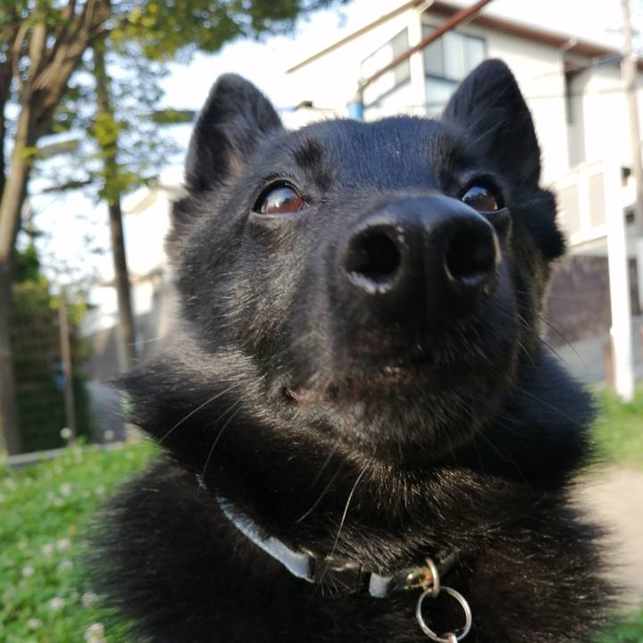 Dc58cac8 fbcd 4d9d a311 cf83629d5a90 1623187662132