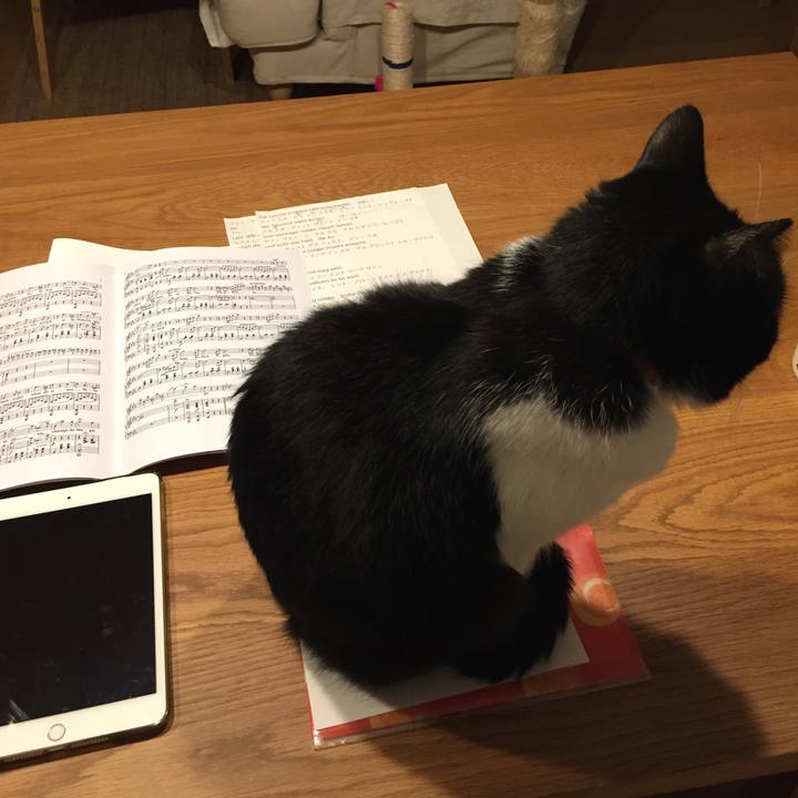 Dc58f86b f839 4b4a ae49 e2202c20d27b 1510735282578