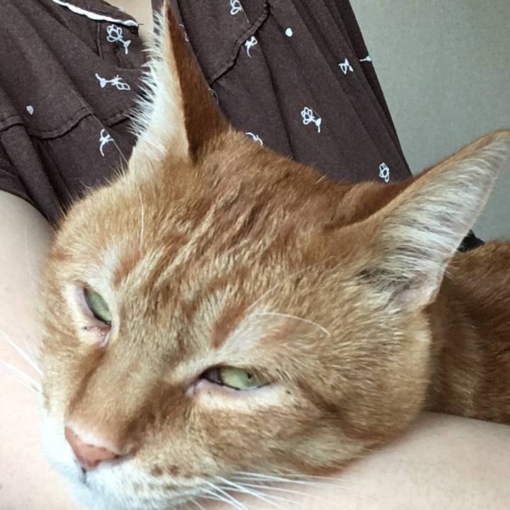 Dc590428 8513 49c6 8e0a 64ab1dfe5b0e 1543016844414