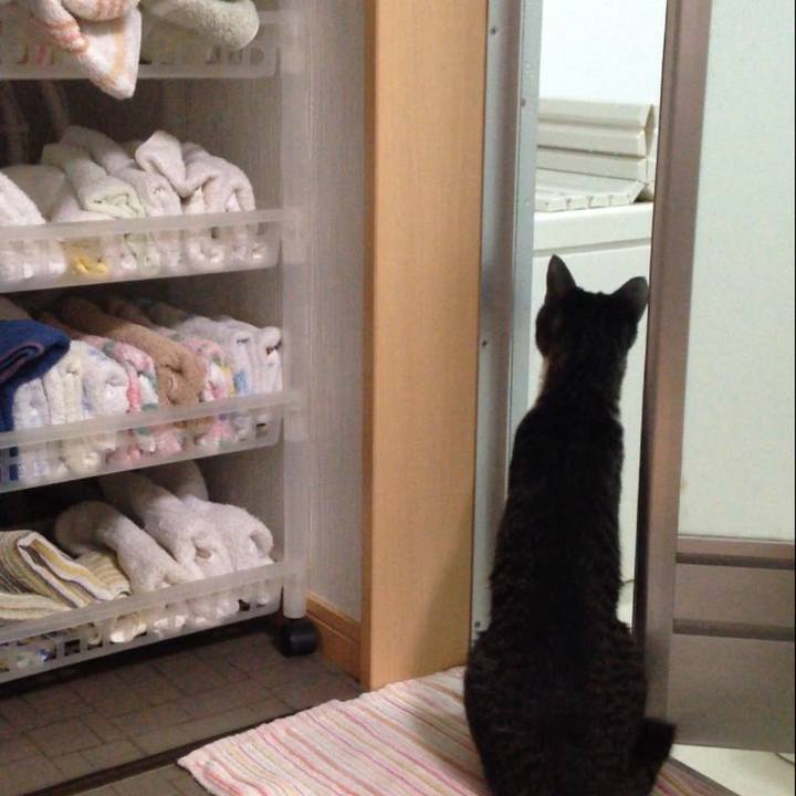 Dc5917b1 271f 4700 ac07 b0ad591bc456 1509584910213