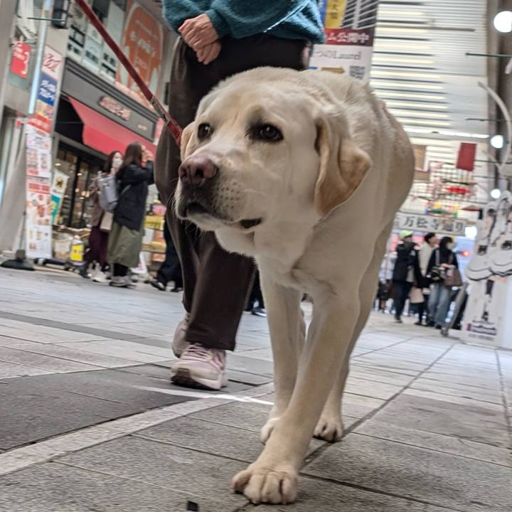 Dc591ad9 5231 4025 827d 85addd11095a 1772367717291