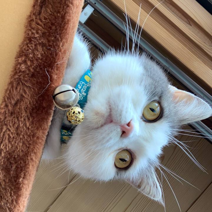 Dc5935eb 04af 418e 949e a11124d76227 1650676972465