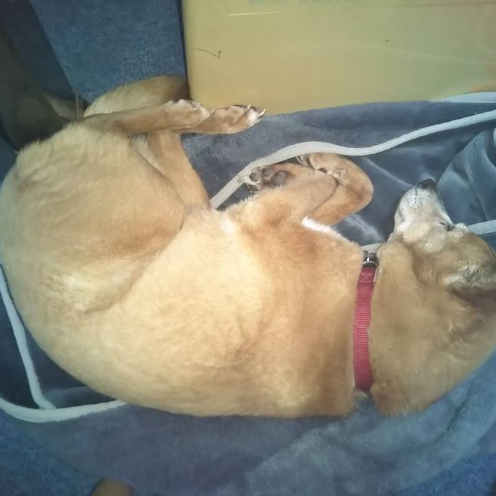 Dc593c25 64a6 45cf b965 6e41e50885b2 1585835255838