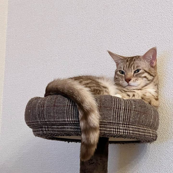 Dc59479d a248 4077 9890 71a7fd01930c 1673956179530