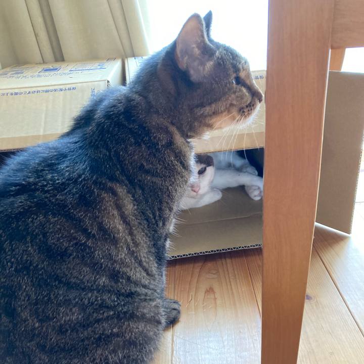 Dc596478 d52f 4c21 85bd da92f8a5de6c 1657612111648