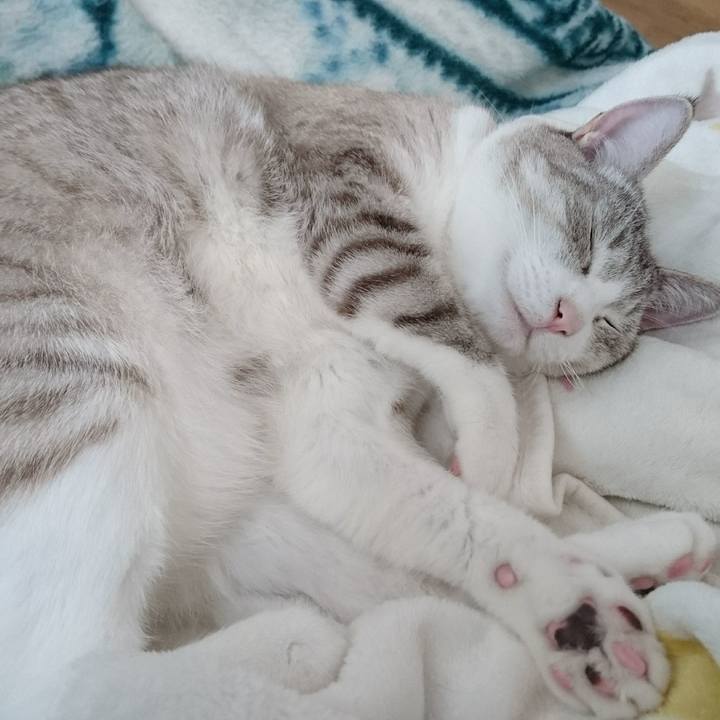 Dc5966cd 41a3 458b 9d15 3382d9b5fea9 1579778952503