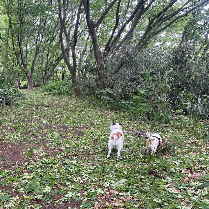 Dc596922 51d1 49f3 9477 487a634b467b 1715900203528