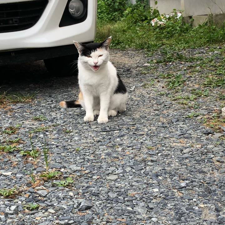 Dc597005 131f 474a bc6a f7efb30830aa 1599306112906