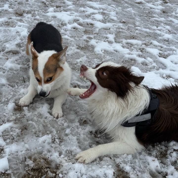 Dc5973df 0d05 4912 bc67 2ce2169228f6 1770714958151