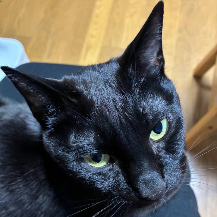 Dc598f8e e97f 4734 9d7e 9222861a2a68 1745661063332