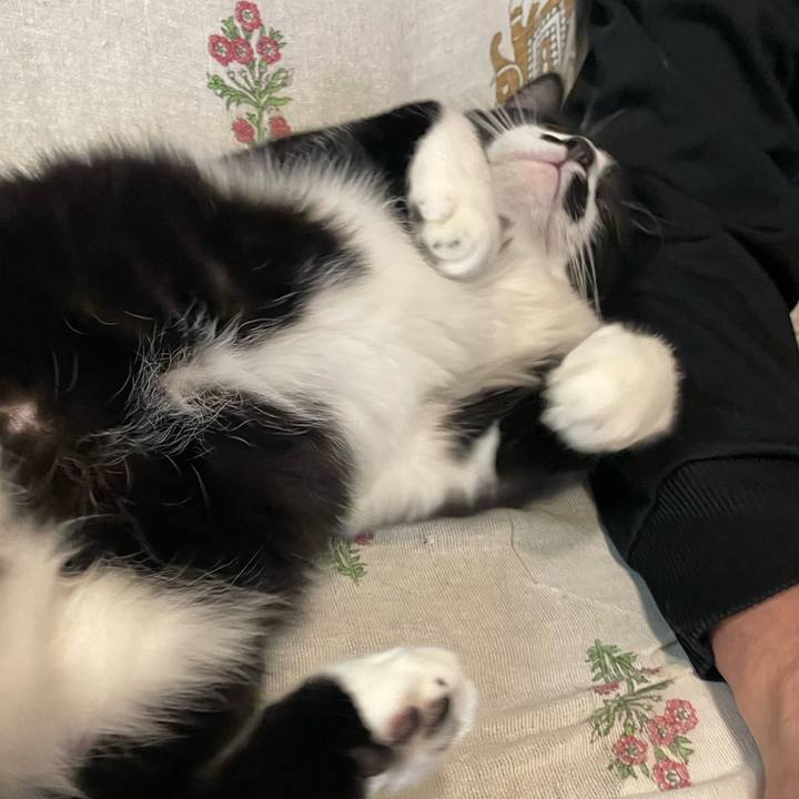 Dc59a3fe 28a7 4c0a afbd 67d8e2f906af 1761908306844