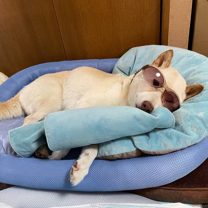 Dc59c376 d58b 4ed9 a9bb b89e158b4c35 1651639068987