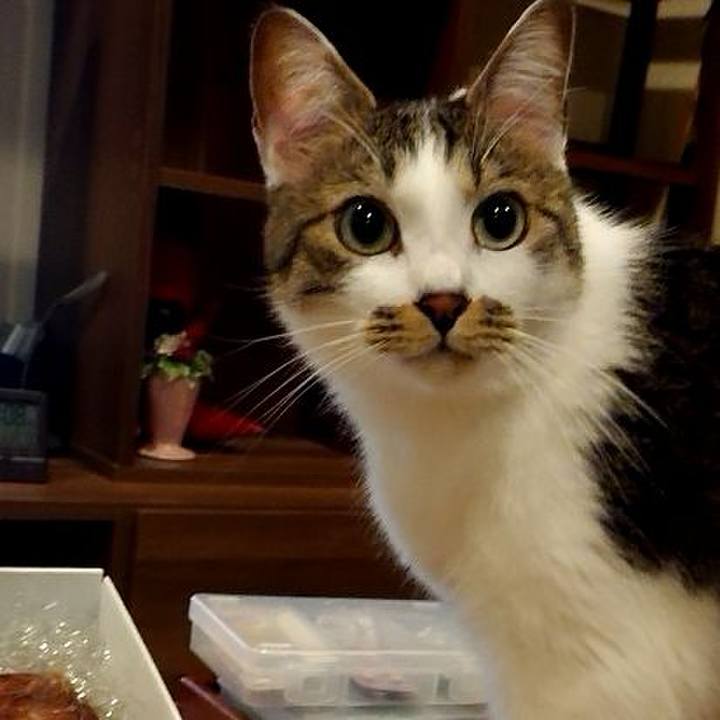 Dc59f48f 3213 4357 8666 e3b8c2e1eaa5 1681616202349