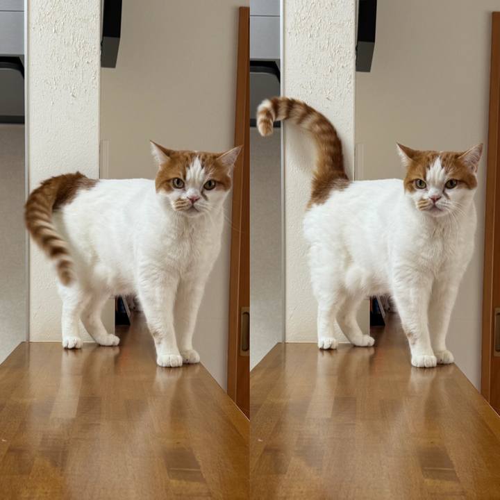 Dc5a1443 7f50 4f93 b982 ccb23a458a7b 1763269269271