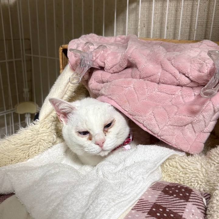 Dc5a4d96 4c98 4c5f ae5c b0de03396fde 1771416961071