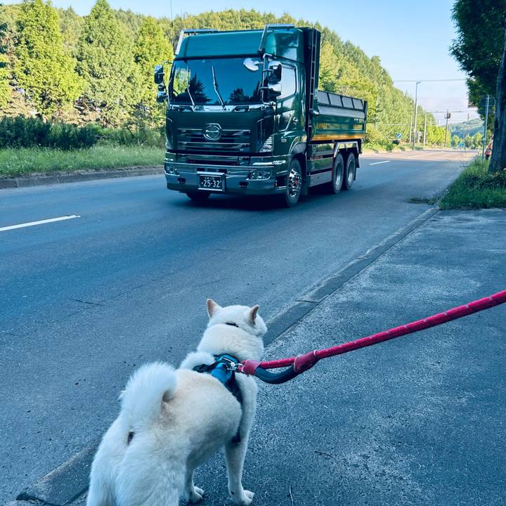 Dc5a595c 7632 485e 90ab 946f8e310210 1752268668760