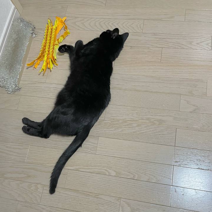 Dc5a60a5 83b2 466c 93db 6be7d388c460 1714133882532