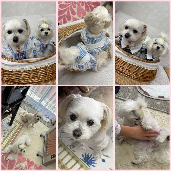 Dc5a675b d78c 484b 8f05 9a01724ca43c 1744180936297