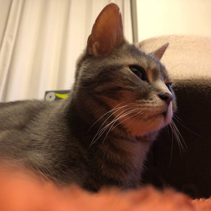 Dc5a7536 6546 41a5 a737 b29bc78e816e 1562941119737