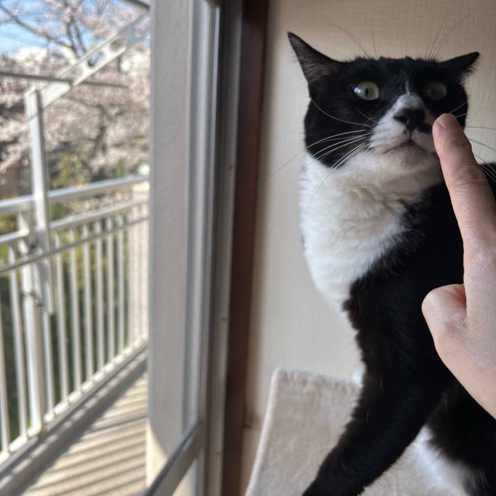 Dc5a7cc2 1139 48e1 92bc 60e90b4053b9 1775176595046