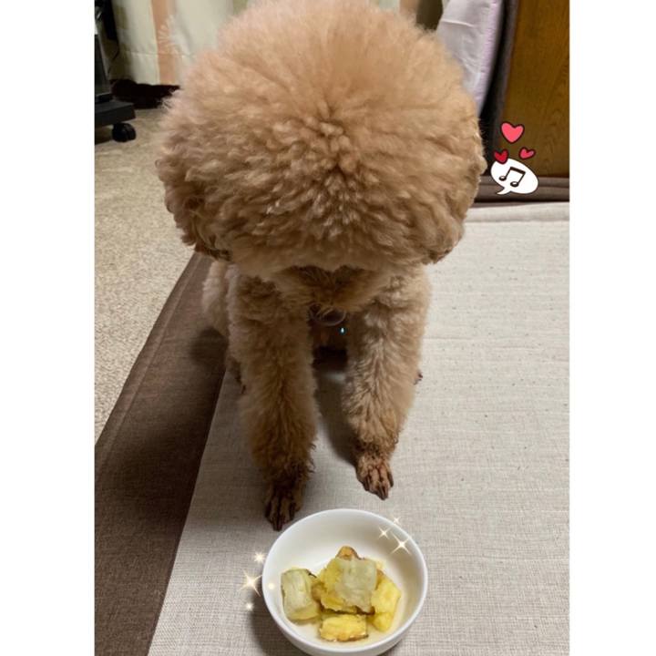 Dc5ae650 ea30 4746 94a0 7562028d97b8 1551953136531