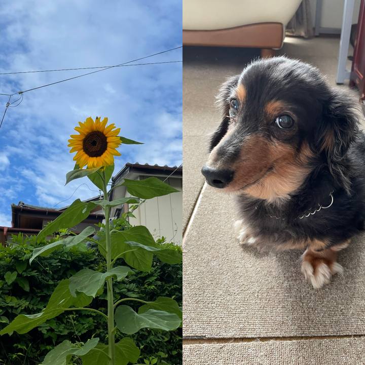 Dc5aeb67 931b 4ff3 8c46 3be05853c297 1630105635045