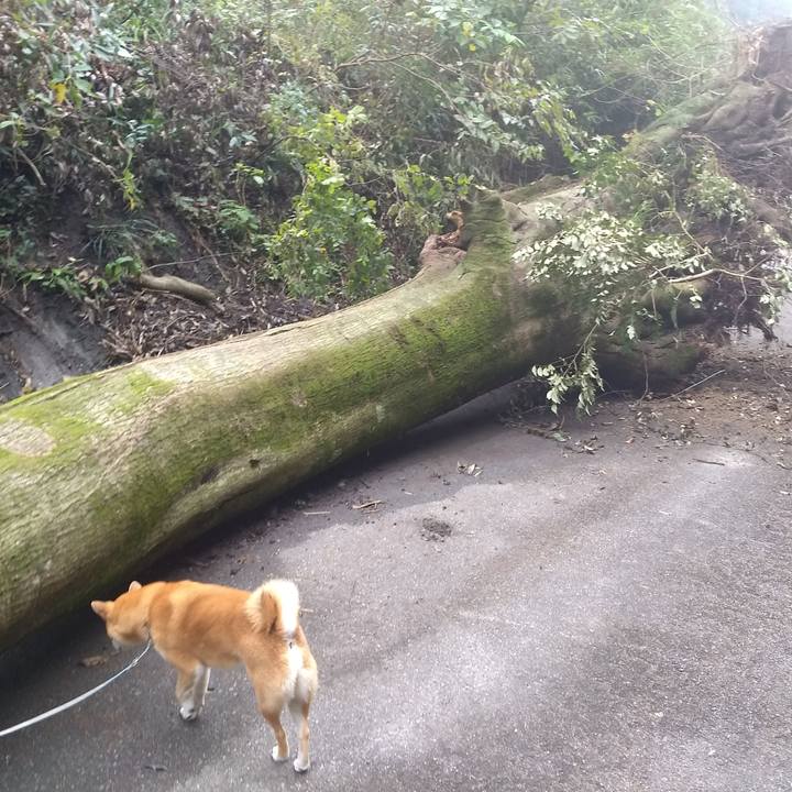 Dc5b18d3 3b88 48d8 85be 2d889b961124 1539687345320