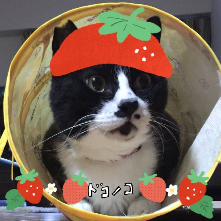 Dc5b41b8 5faf 4b81 b31b 0e4f888fd5b5 1775182314049