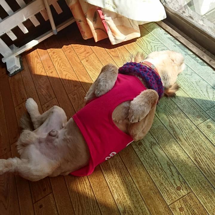 Dc5b6b79 9874 4bc2 be96 86bb3207cbde 1518578589142