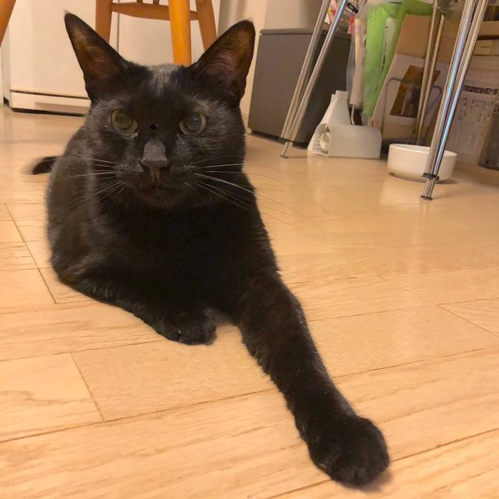 Dc5beb77 17a1 4b59 8fac 4f2806328a99 1560516490580