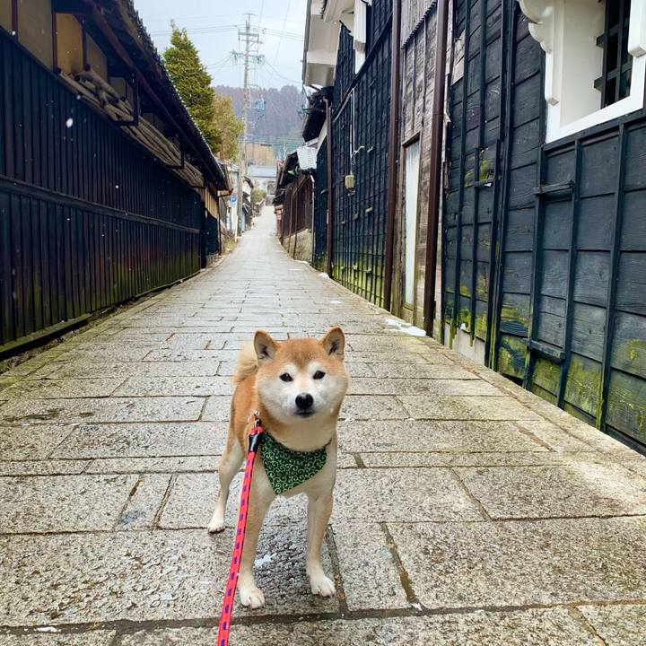 Dc5c056b 1643 46b2 9378 5e0af2433b02 1645528071460