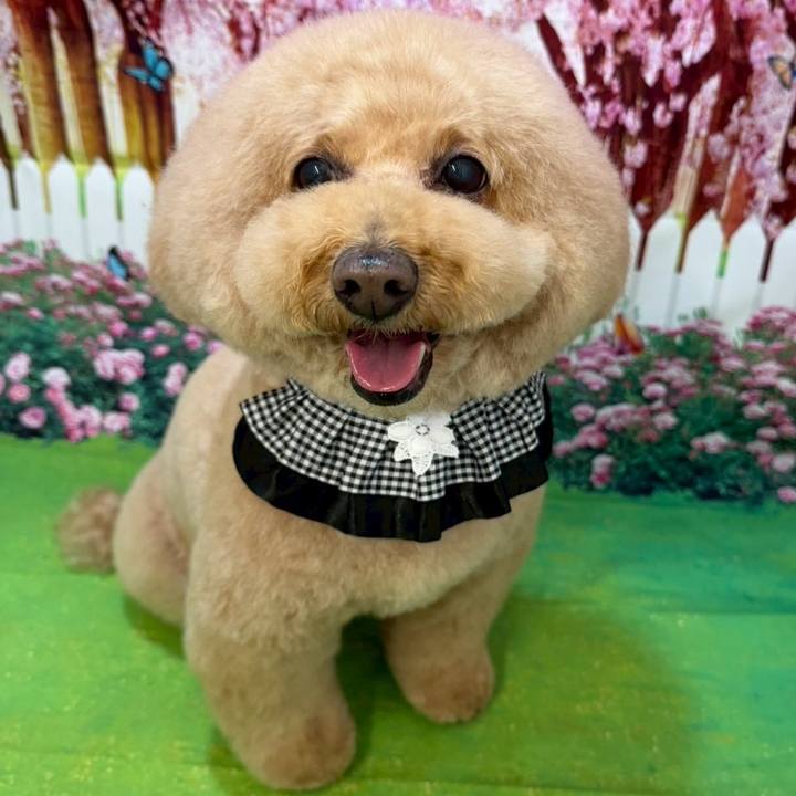 Dc5c2820 c30d 4c1b ad5c df4ba0604950 1773616685574