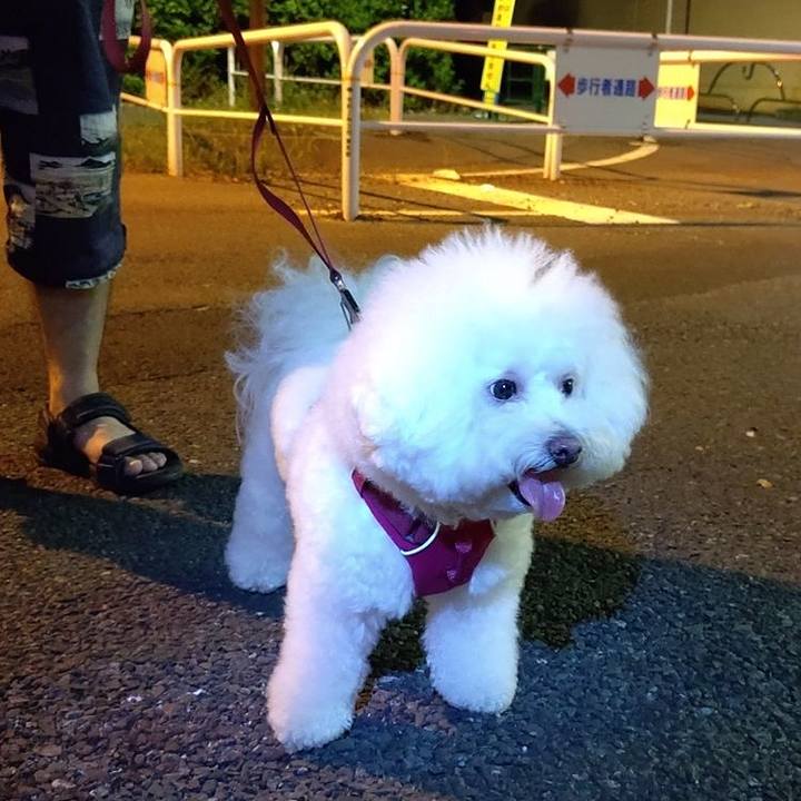 Dc5c56ed 8961 4b11 a6be 4d2be4df5c5e 1597059660138