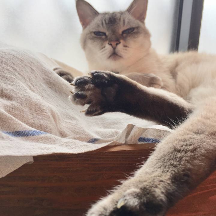 Dc5c6ff0 407f 46c8 ad4e 5dff87da680a 1562816531970