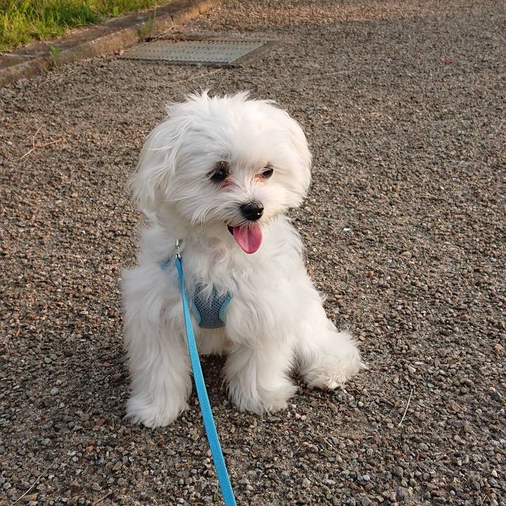 Dc5c73b0 b6b1 4f5a 84e7 1197acf7c03e 1561078837652