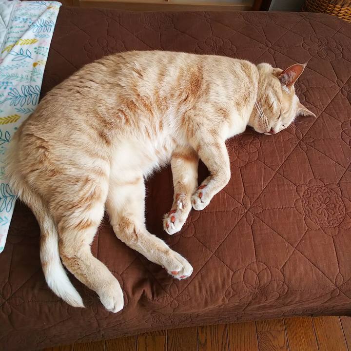 Dc5c7aa5 5f54 4558 88bd 7beb6daf6106 1624592532903