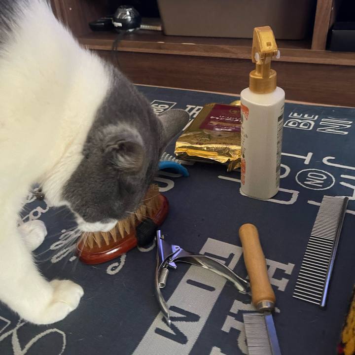 Dc5ca738 557a 406d a11c 05b858d8b824 1713653327269