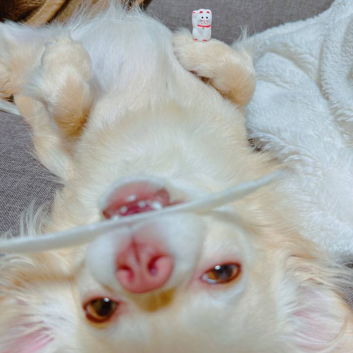 Dc5cbf5b 7070 4d15 becb f462757e141c 1650766999381