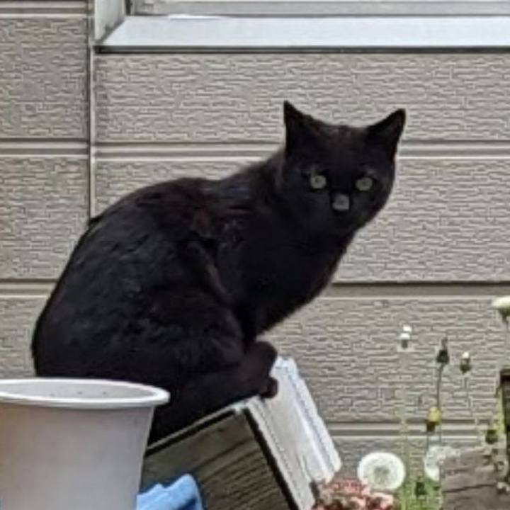 Dc5cdc13 009a 4795 a25a b9a89f8b6abf 1717645395052