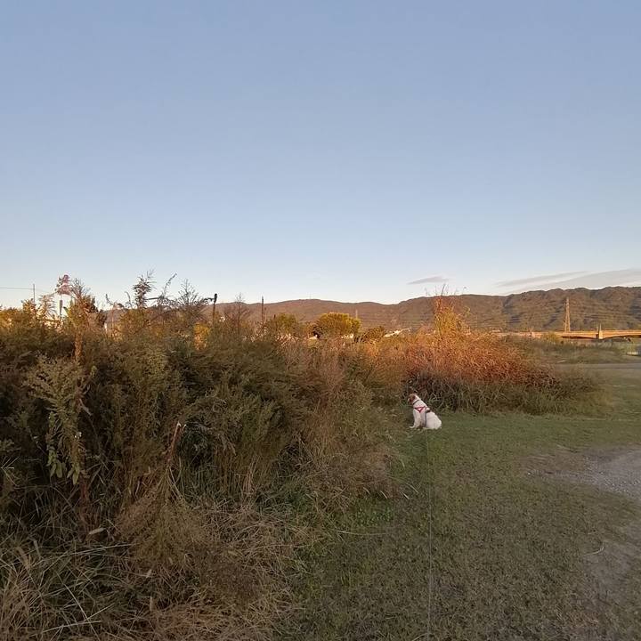 Dc5ce4fa ac92 4466 9cd5 723c034a228a 1573213790076