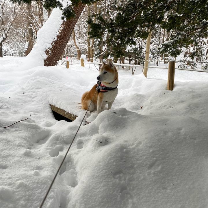 Dc5cebb8 2b93 40e6 b105 9cdaa09c11bf 1705970342034