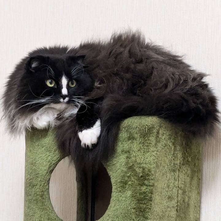 Dc5cfd57 cf3a 49df 93de 2d9cb4c69ea2 1736076385783