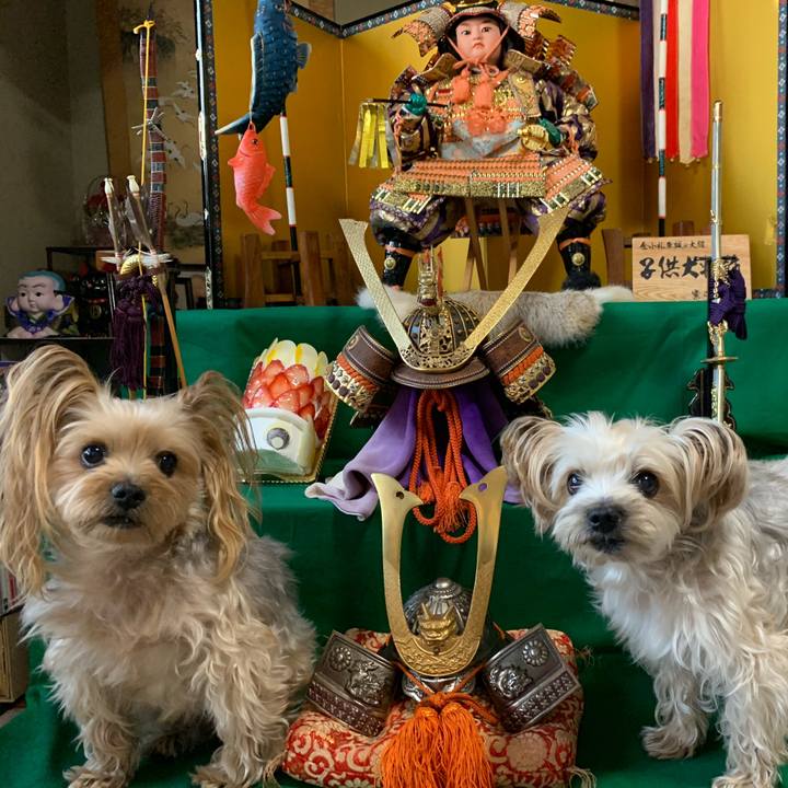 Dc5d0ef6 cead 41f2 a17c 9ad66f6a5686 1557046699079