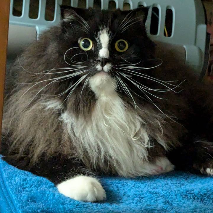 Dc5d58da 5b54 4b32 908f edf170cb4a89 1732229246487