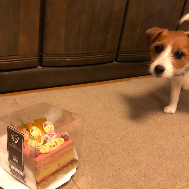 Dc5d6603 fb90 404b b7d1 47a0ffa675a2 1520081517377