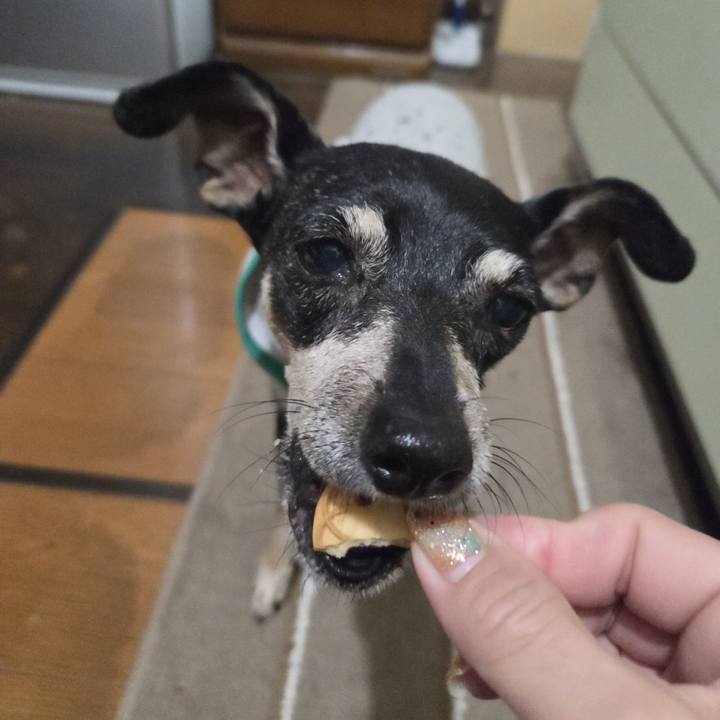 Dc5d6d74 7aeb 41da a2ba 29674ac294ce 1755113973468