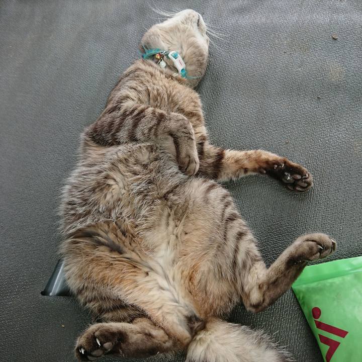 Dc5d6f49 ee1d 45e0 89f8 c0c30664ad24 1559448484444