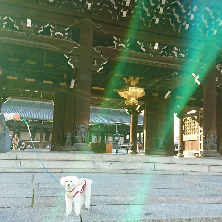 Dc5d86ca d8dc 4620 8bf8 0f340aef147e 1541422043664